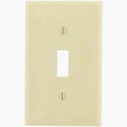 Switch, Single and Plate, Ivory