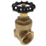 Brass Gate Valve 1/2"